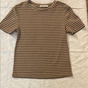 Striped Brown and Black Ribbed T-Shirt